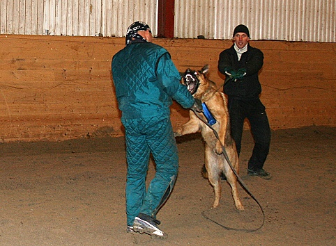 Training in Estonia 3/2007